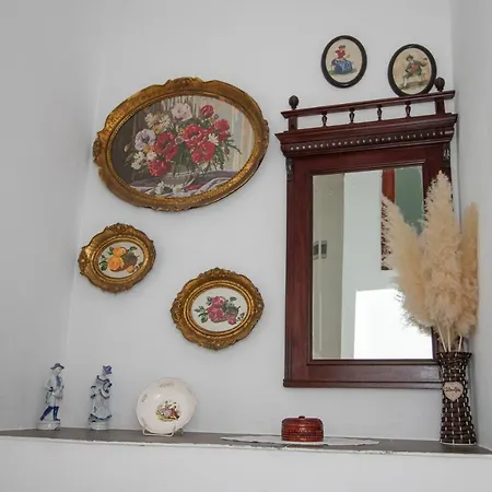 Butterfly Apartment